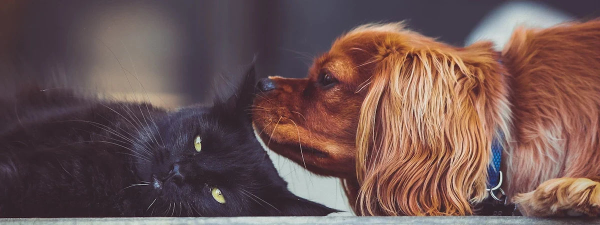 Tierfreunde